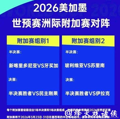 2026世界杯直播：付费与免费资源对比